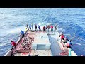 maldives pole and line skipjack tuna fishing 🎣