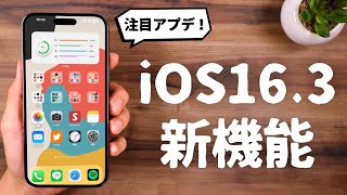 iOS16.3がリリース！新機能について徹底解説します。