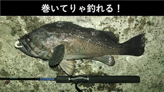 【利尻島】ナイトロックフィッシング！