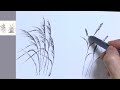 펜드로잉 기초과정 풀 갈대그리기 완전정복 easy drawing of reeds