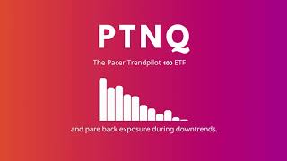 The NASDAQ-100 Index with PTNQ