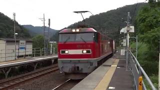 JR貨物 EF510形 ECO-POWER レッドサンダー 北陸線 南今庄駅 通過映像 2018.6.27