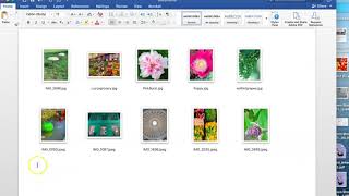 Create a Contact Sheet-Microsoft Word