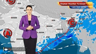 Weather Forecast for Oct 14: Weather System to bring back rains in Kerala, AP, and Tamil Nadu