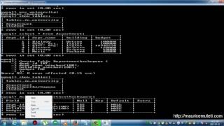 Structured Query Language Tutorial SQL Part 22 INSERT INTO SELECT Statement Command Prompt CMD