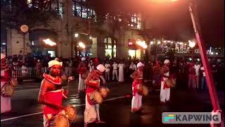 Traditional drum beats, Sri Lanka, Kandy Dalada Maligawa procession @vango2851