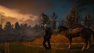 4K Gaming Wallpaper | The Witcher 3 | Animated Background