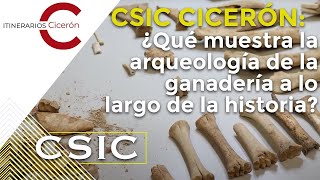 CSIC Cicerón 8.5 ¿Qué muestra la arqueología de la ganadería a lo largo de la historia?