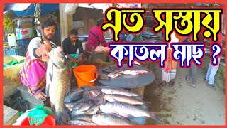 শেখরনগর মাছ বাজারে এতো সস্তায় কাতল মাছ || Nisu khan vlog