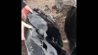 حجر سبج هو زجاج بركاني طبيعي Obsidian is a natural volcanic glass