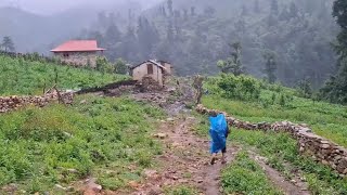 Beautiful Nepali Mountain Village Traditional Life || Wonderful Farming Life Of Mountain Village