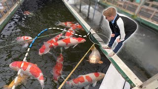 Sakai Fish Farm PLUS Narita Visit **BIG FISH!**