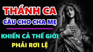 TUYỆT ĐỈNH THÁNH CA CẦU CHO CHA MẸ KHIẾN CẢ THẾ GIỚI PHẢI RƠI LỆ | Thánh Ca Hát Về Cha Mẹ Hay Nhất