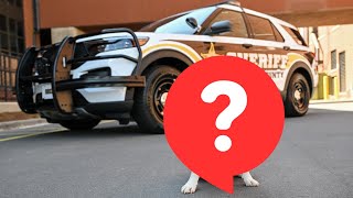 Meet CabCo's Newest Crime-Fighting K9