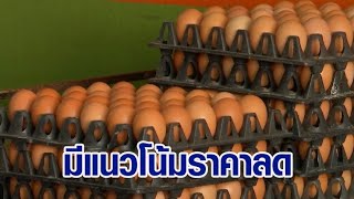 ฟาร์มเลี้ยงไก่ไข่ ชี้ราคาไข่ครึ่งปีหลังมีแนวโน้มลดลง หลังหลายพื้นที่ปรับราคาสูงสุดเป็นประวัติการณ์