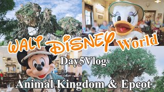 Shopping, mingling, and attractions! Enjoy Animal Kingdom and Epcot! Day 5 at Florida Disney Worl...