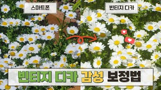 빈티지 카메라 감성 보정법 : 2000년대 초반 감성 빈티지 디카 사진으로 보정하는 꿀팁을 아르켜줄게...📷