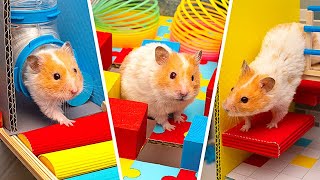 DIY Trickiest Hamster Maze | Rainbow Friends Style 🐹
