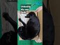 Unboxing My Own Quilt - 