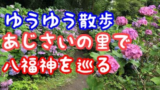 【藤岡市】八塩あじさいの里　八福神巡り