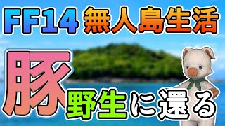 【FF14】ぶた　野生に還る【無人島開拓1日目】