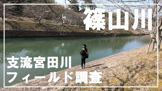 篠山川支流宮田川フィールド調査！【バス釣り】