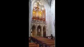 Munster Cathedral pipe organ playing 20150821