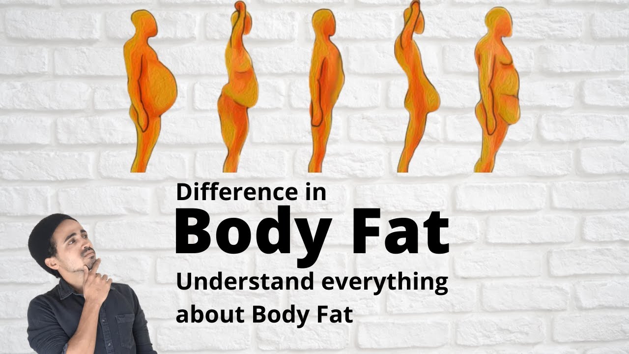 Fat Differences In Men Vs. Women (Visceral Fat - Subcutaneous Fat ...