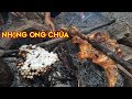 Cùng anh em thợ Rừng thưởng thức món Nhộng ong nướng, chuột và gà nướng |nhịp sống thợ Rừng