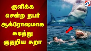 குளிக்க சென்ற நபர் - ஆக்ரோஷமாக கடித்து குதறிய சுறா | shark attack | bathing | Egypt | ocean