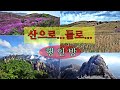 서운산 서봉 탕흉대 ...가족산행과 겨울 산행 신년산행 추천지 좌성사 금북정맥 멋진 조망