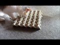 Cheap cat toy