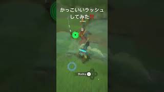 かっこいいラッシュしてみた‼️ #ブレワイ #ゼルダの伝説 #ゼルダの伝説ブレスオブザワイルドbotw #zelda #ゼルダの伝説ブレスオブザワイルド