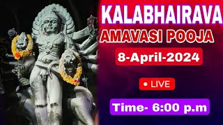 KALABHAIRAVA AMAVASI POOJA|8/4/2024|#astrolgy#mantra#tantra|