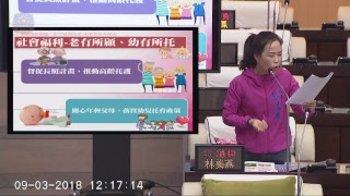 20180903林美燕議員市政總質詢