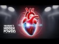 The Astonishing Powers of the Human Heart – Facts You Need to Know