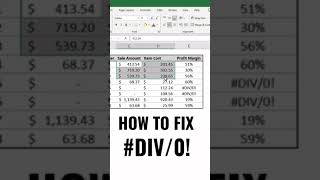 How to Fix #DIV/0 Error in Excel