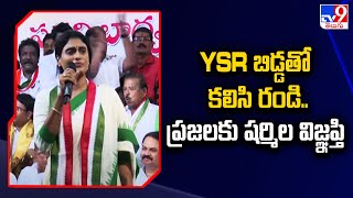 YSR బిడ్డతో కలిసి రండి..ప్రజలకు షర్మిల విజ్ఞప్తి : AP Congress Chief YS Sharmila | AP Politics - TV9