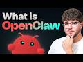 What Is OpenClaw? - Explained for Beginners