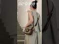 假如每个品牌只能选一只大牌包—chanel cf ；dior montaigne 蒙田 ；lv boulogne 牛角包；ysl niki；celine 凯旋门；gucci 1955