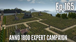 Anno 1800 Expert Campaign in 2024 (Episode 165) - Land of BLOOD \u0026 WINE!