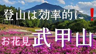 【登山/武甲山(埼玉県秩父)】2022年5月GWに二百名山に登りました。登山口までちょっとズルしてタクシーを利用❗『時間効率良く』をモットーに下山後はお花畑も満喫。怠け者でごめんなさい💦