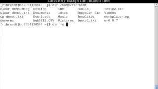 Linux Command (Dir)