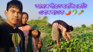 আমাৰ গাঁৱত ছবজি কেতি এবাৰ ছাওক 🌶️🥬🥕