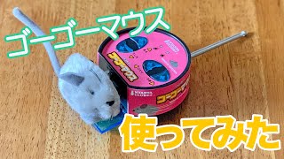 猫のおもちゃ【ゴーゴーマウス】貰ったので、猫５匹いる部屋に放ってみたら操作が意外と難しかった【多頭飼い】のシュールなvlog　I played with a radio rat＜JAPAN＞