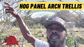 D.I.Y HOG PANEL TRELLIS | CATTLE PANEL ARCHED VEGETABLE TRELLIS | FALL GARDENING CHRONICLES