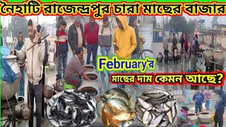 পশ্চিমবঙ্গের সবথেকে বড় চারা মাছের বাজার||🐠নৈহাটি রাজেন্দ্রপুর মাছের বাজার 2024#video #fish#fishing