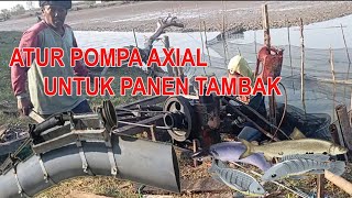 pasang blower tambak panen tambak alami pemasangan pompa axial penggunana pompa axial blower tambak