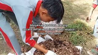 Proses Pembuatan Kompos