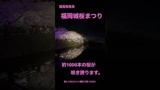 【期間限定※福岡城桜まつりは4月2日まで！】天神ビッグバン！福岡城さくらまつり　舞鶴公園では４月2日まで「福岡城さくらまつり」の催しが開かれ、桜のライトアップなどが行われます。